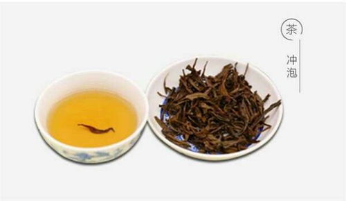 海南白沙茶 白沙特產天香巖小種紅茶100克