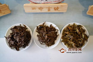 中吉號聯(lián)合茶業(yè)復興230期復興沙龍,麻黑為什么重要
