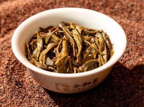 白云山五一上演廣州有史以來(lái)最大茶會(huì) 合和昌攜臻品好茶亮相