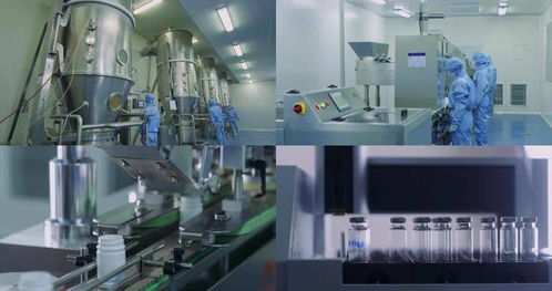 2021年生物試劑產(chǎn)品及技術服務市場深度分析 技術服務成關鍵增長引擎